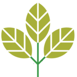 msapplication-TileImage